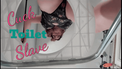 Cuck Toilet Slave