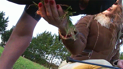 Woaw Horsey Full HD Mp4