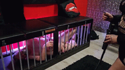 Aromatic Caged Cbt