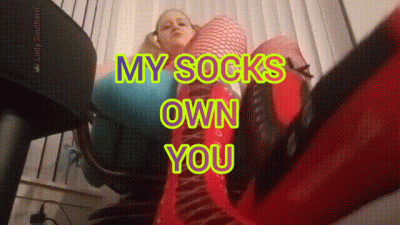 My Socks Own You