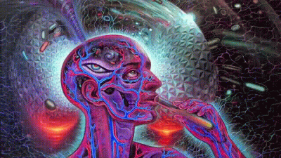 Hi/Low Mind Fuck