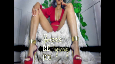 Slavecock Re-Programming JOI