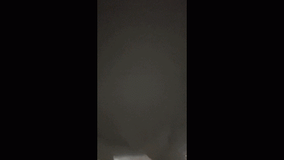 Toilet Buffet