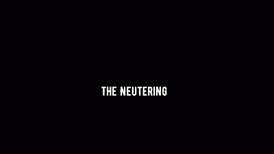 The Neutering