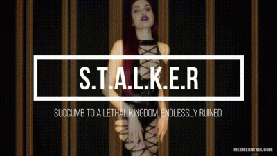 S.T.A.L.K.E.R: Succumb To A Lethal Kingdom, Endlessly Ruined