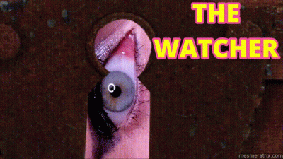 The Watcher