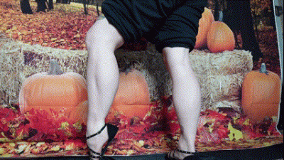 Calves Flex In Black Ballet Flats Thanksgiving Themed