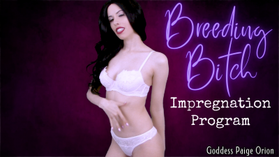 Breeding Bitch Impregnation Program