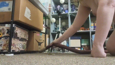 Kitty Fantasy Vacuum