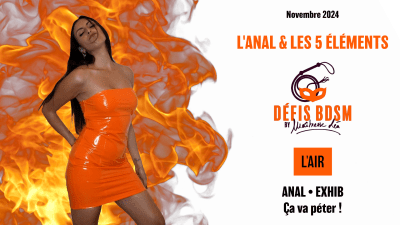 Defi Anal * Exhib * Novembre 24