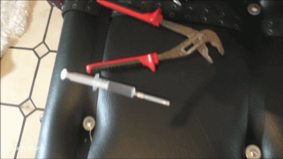 Kastration! Mechanisch Und Chemisch!