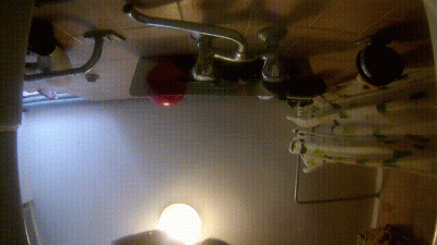 Farts In The Sink Water