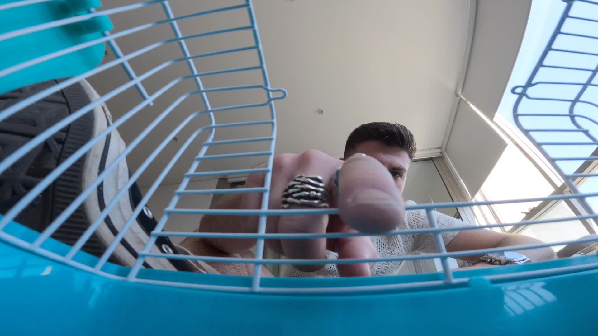 Shrinking Fetish - Porn Video Clips For Sale at iWantClips - Page 21