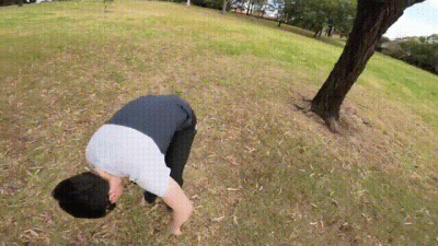 Luke Fly Park