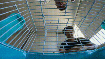 Brandon And Luca Cage