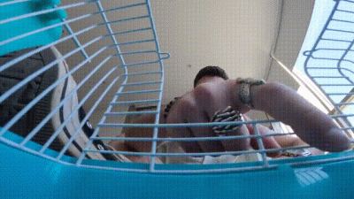 Matt Cage Life (POV Shrunken)