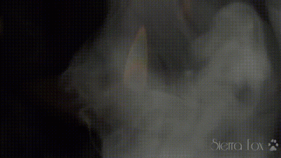 Date Night **** (Audio & Visualization)