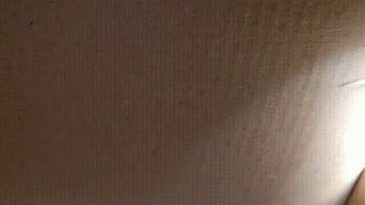 Giantess Eat Guys