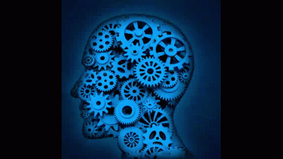 Breaking Toys: Brain Modification