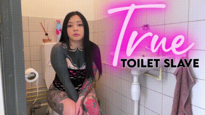 True Toilet Slave