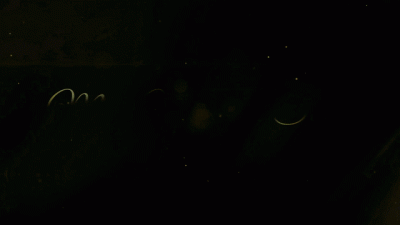 Wimp For Muscle Strokes