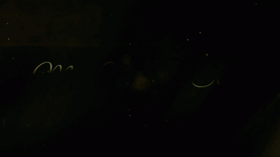 Muscle Goddess Intimidation