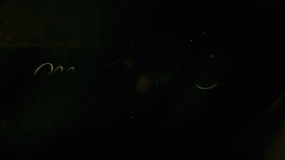 Muscle Worship For Wimps