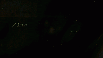 Marking You With My Fluids