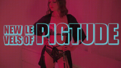 New Levels Of Pigtude