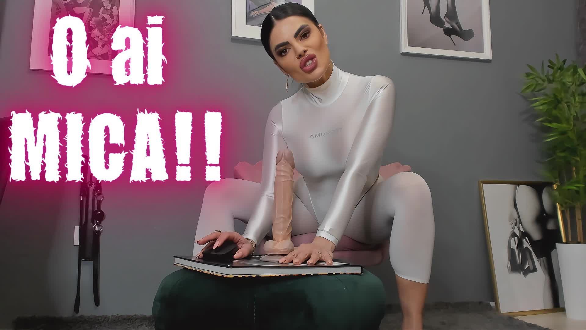 O AI Mica Si Ti-O Distrug