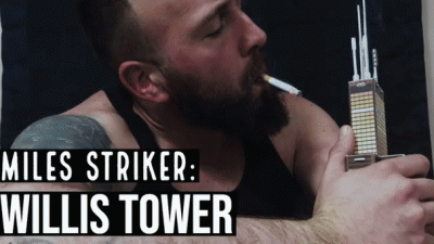 Miles Striker Vs. Willis Tower
