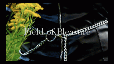 Field Of Pleasure