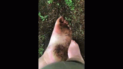 Clean My Dirty Gardening Feet