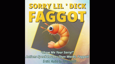 Sorry Lil' Dick Faggot Faggot Dirty Talk And SPH. Audio Only Humiliation