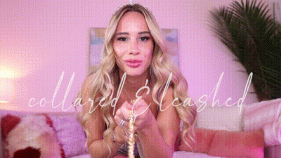 Collared And Leashed