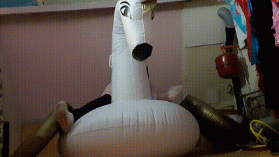 This Swan Did Not Survive This Hurricane Queen