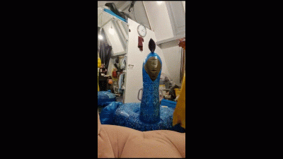 Inflatable Peacock