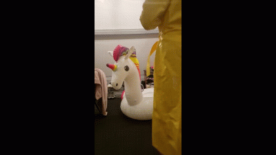 Unicorn Is Dying