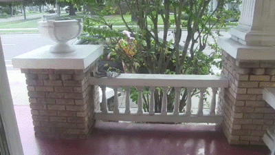 Olivia Kassidy Busts Pervert Jacking Off In Window SPH