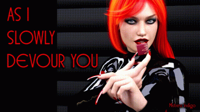 As I Slowly Devour You