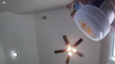 Searching For A Shrunken Husband