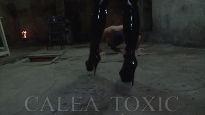 Ballbusting Circuit Training