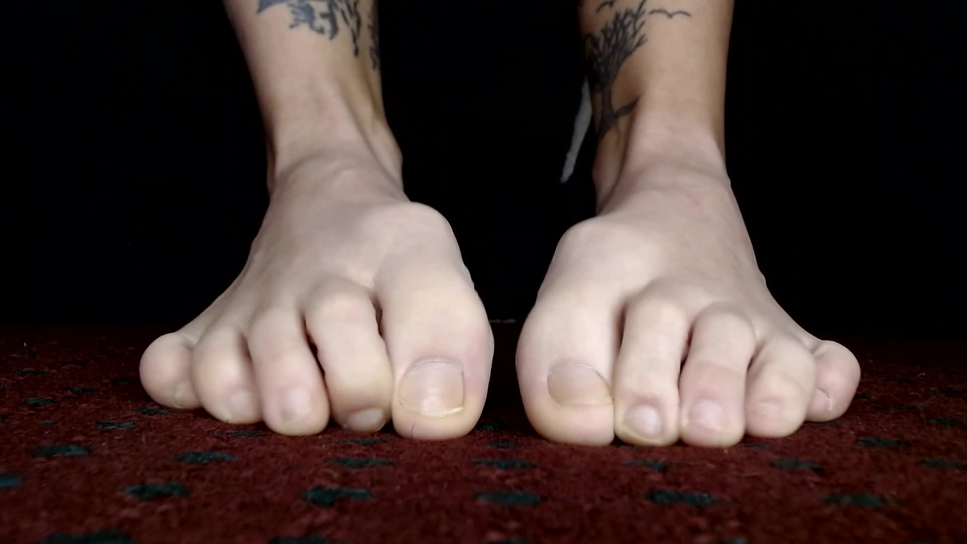 Long Toes Close Up Toe Wiggling Short Toenails