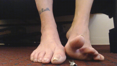 ASMR Giantess Caught Bathroom Voyeur