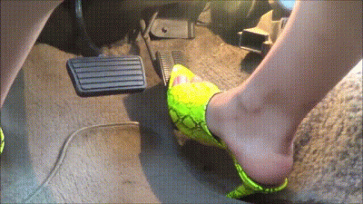 Yellow Snake Mules