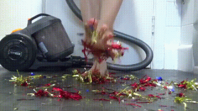 Vacuuming Xmas Decor