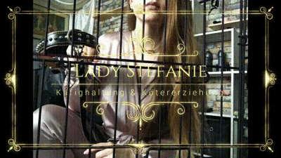 Kafighaltung & Kotererziehung German