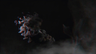 Team Ruin Silvester Countdown 2019 Lady Stefanie German