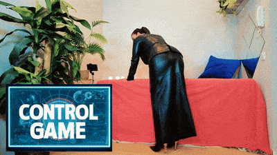 Control Game Reinaleather POV