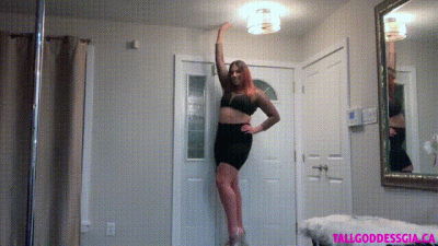 Tiny Toilet Paper Slave